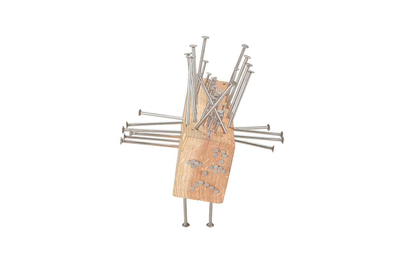 考えるハリネズミ