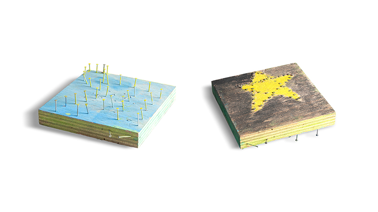 うみのめいろときれいなほし