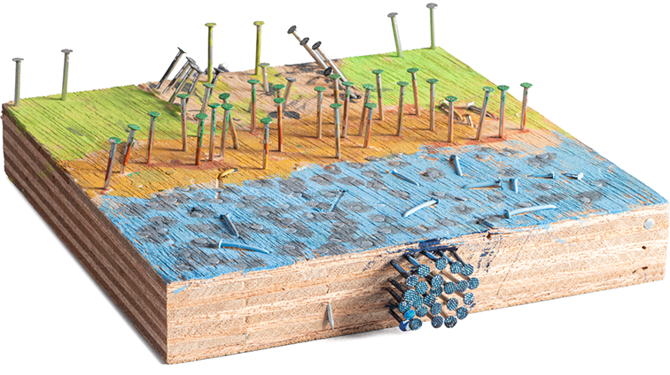 しぜんの中の大めいろ
