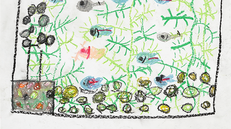 さかなはともだち