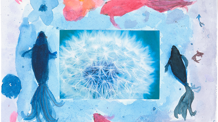 わたげの周りに魚達