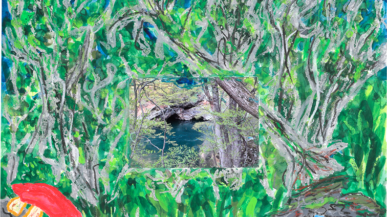 不思議な森の神秘の泉