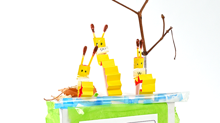 キリンのお遊び