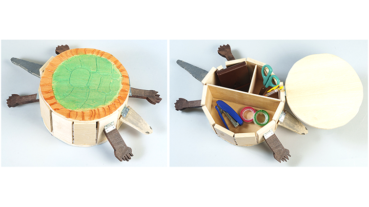 カメとサッカーボール