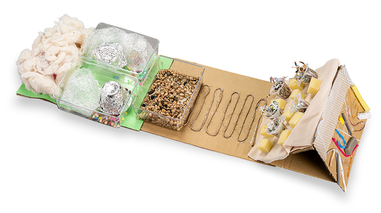 楽しみ・嬉しさ・不安