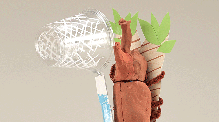 たわし虫をつかまえろ!