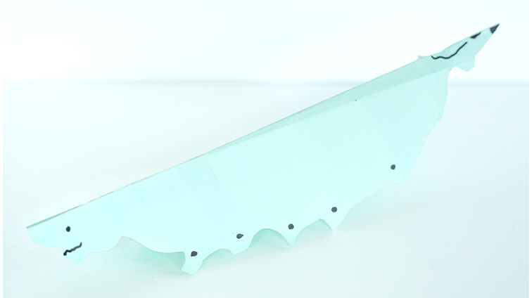 ツマグロヒョウモン