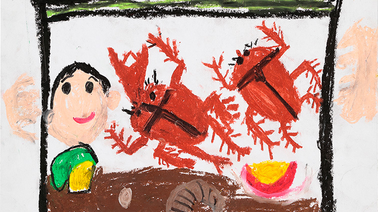 ぼくとカブトムシ