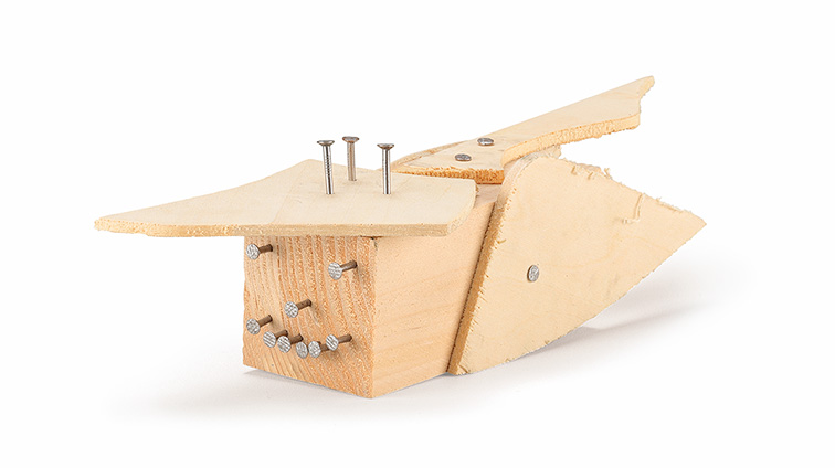 コウモリランド